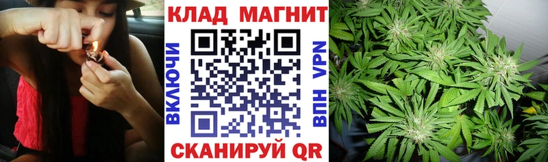 Купить закладку КОКАИН  Бошки Шишки  СОЛЬ  ГАШИШ  Меф мяу мяу  Кирсанов