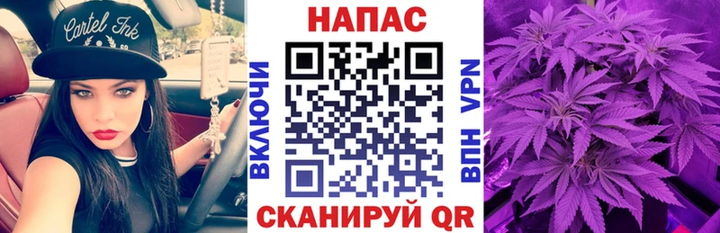Бошки марихуана сатива  Купить  Кирсанов 